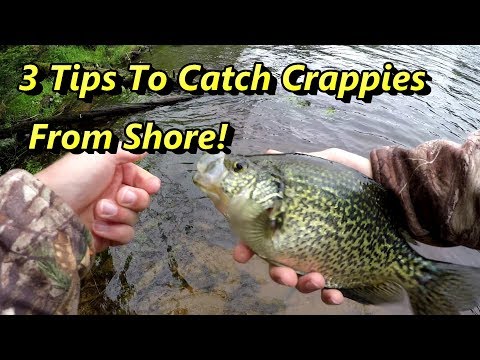 YouTube video about: Where to buy crappie fish?