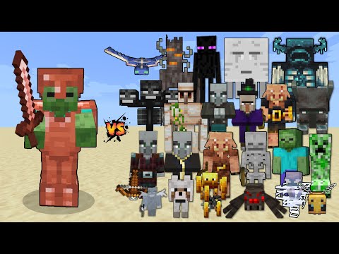 Zombie with Copper Armor & Copper Sword vs Every Mob in Minecraft (Bedrock Preview)