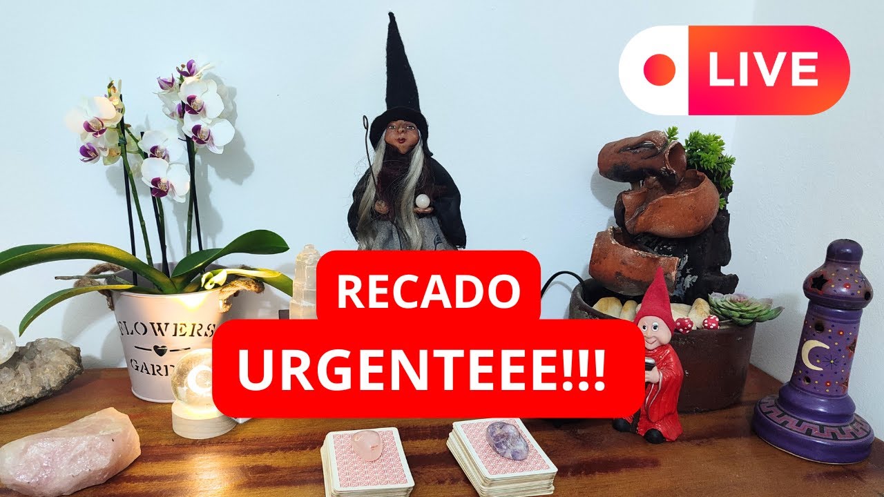 É MUITO FORTE!!!! VOU REVELAR UM ASSUNTO MUITO SÉRIO!