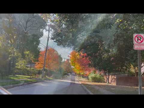 Fall 2021 in Fayetteville, AR