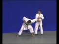 6 Bunkaï Chinte I