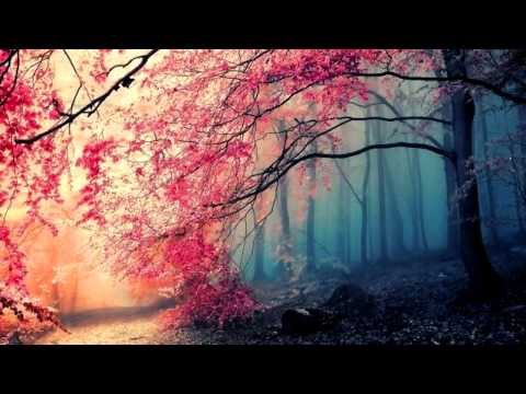 Djevojka koja je skinula hidžab i postala manekenka