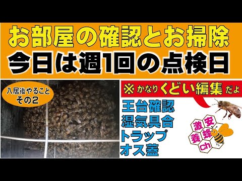 ミツバチの営巣補助具を掃除しますか? 自然と動物