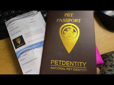Pet Passport | How to get Passport for your Pets | Petdentity