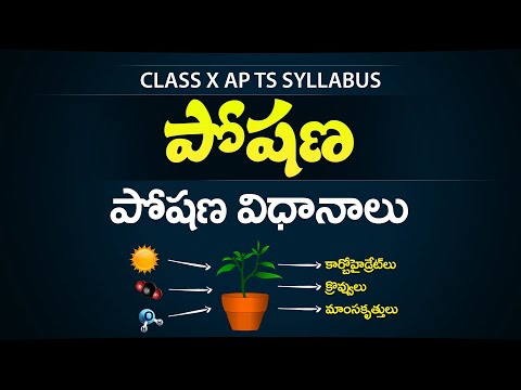 పోషణ  -  POSHANA vidhanalu in telugu  - Nutrition in telugu  - 10th biology in telugu 10th science videos