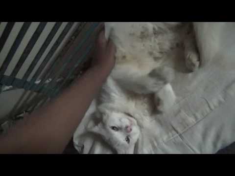 I hope everything goes well