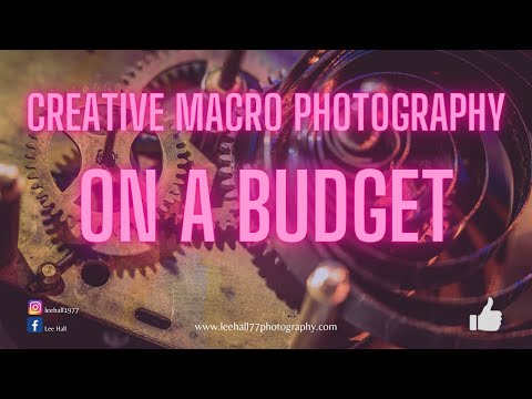 Creative macro photography on a budget