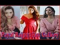 Payal Rajput Payal Rajput Hot Photos Gallery Pics Photo Shoot Pics Hot Photos Gallery Mee Tv