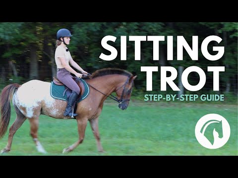 Position assise au trot | Comment s'asseoir au trot et déplacer son siège