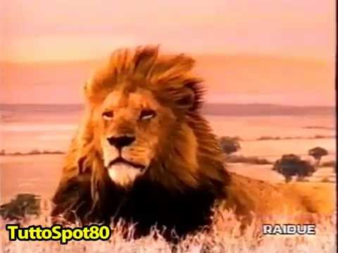 Spot - GATORADE 1997 - Il leone e la Gazzella