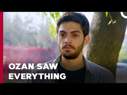 What Is Sibel Up To? - Can't Stop Loving You