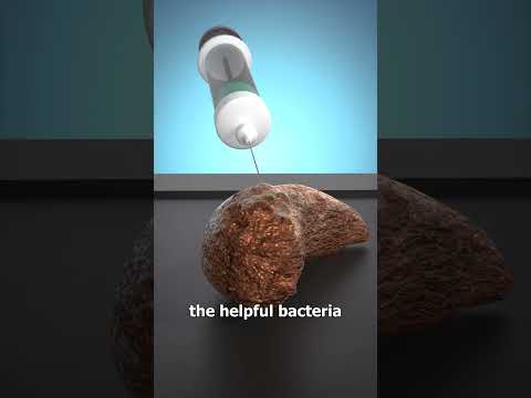 How A Poop Transplant Works 💩🤔