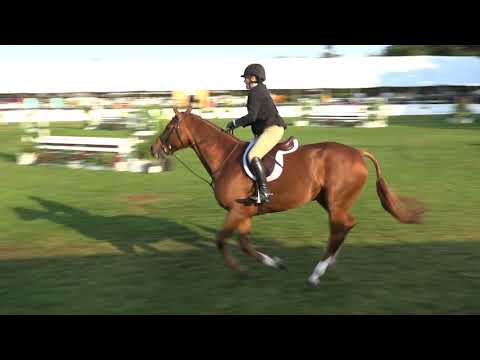 409 FORTUNATE BETH UGORETZ