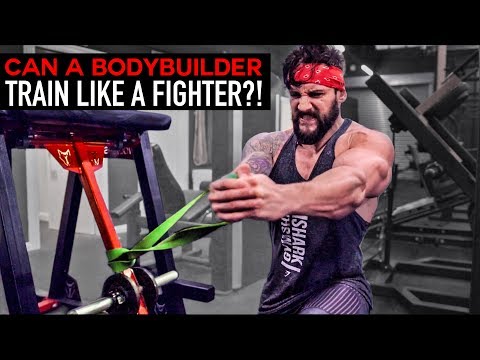 BODYBUILDER Vs FIGHT TRAINING | Full Body Workout Challenge | Lex Fitness (EP.12)