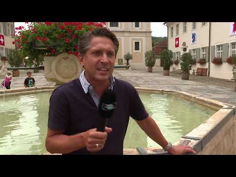 Birsstadt-TV Arlesheim KW 35