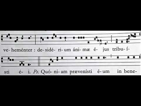Introit - In virtute tua