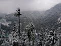 Birds Of Chamba