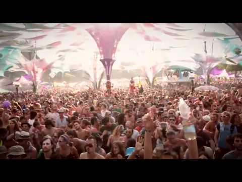 Liquid Soul @ OZORA Festival 2011 (Official Video)