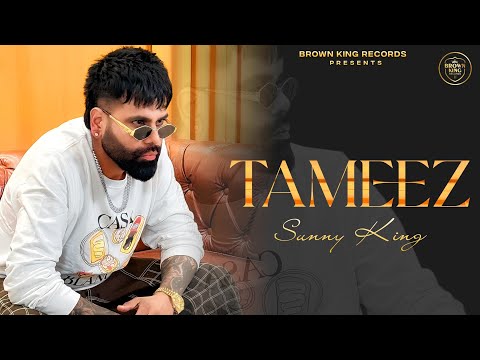 Tameez