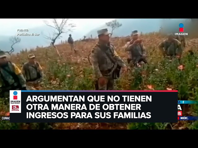 Youtube Imagen
