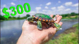 $300 TURTLE LURE May be The Craziest Lure Ever Made! (Here&#39;s Why)