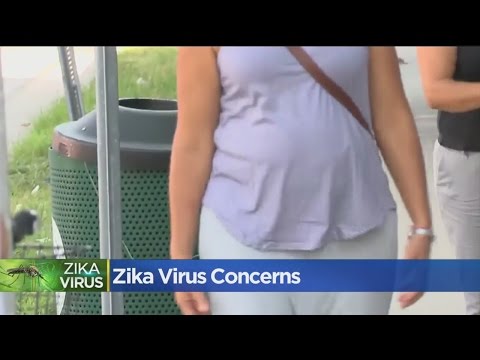 CDC.妊婦はフロリダの「ジカ感染地域」に旅行すべきではない (CDC: Pregnant Women Should Not Travel To 'Zika Transmission Area'' In Florida)