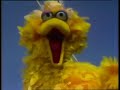 Sesame Street Big Bird Admiral Bird