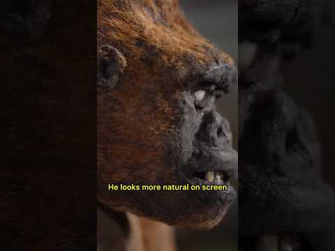 1949’s Mighty Joe Young Is Looking GOOD