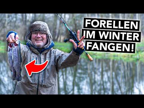 Forellenangeln im Winter: So fängt JEDER am Forellensee 🎣