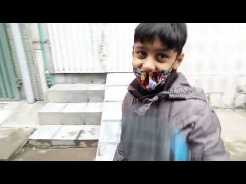 dogs vs man Fight Funny || dogs Funny video