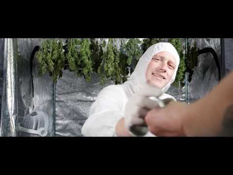 LXcellent - Pot Graucht