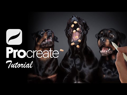 How To Paint REALISTIC Dogs on iPad | PROCREATE TUTORIAL