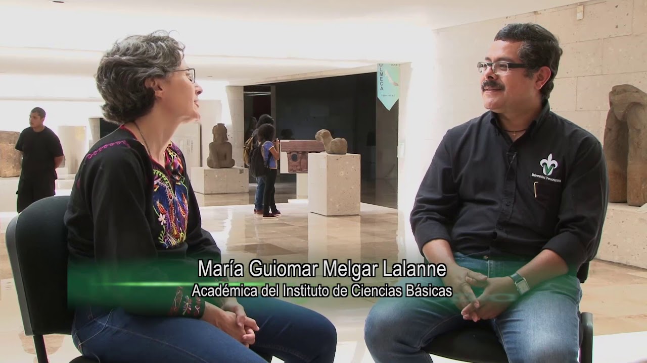 Instituto de Ciencias Básicas