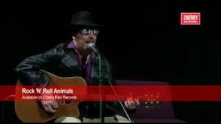 Luke Haines - Live (Acoustic Session 2013)