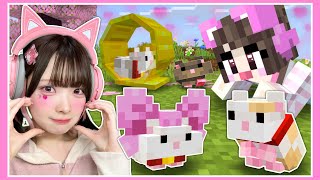 もしもマイクラに『ハムスター』が追加されたら…🐹🌱？【マインクラフト / Minecraft】【たまちゃん】