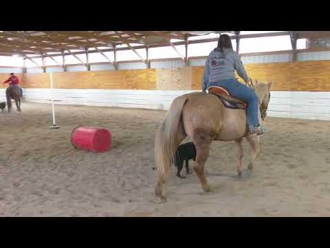 Horsing Around "Bling" At The Barn 