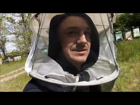 48. Wizyta na pasiece.