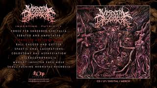 VISCERAL DISGORGE - Strangled And Sodomized (Official Track Stream)