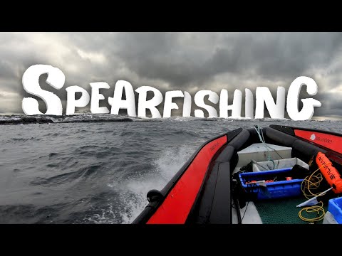 Monkfish In Kristiansund - Spearfishing Norway