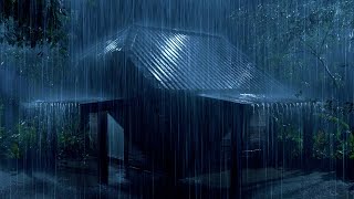 A Refreshing Sleep with Torrential Rain & Thunder Rattling on a Rickety Tin Roof in the Rainforest