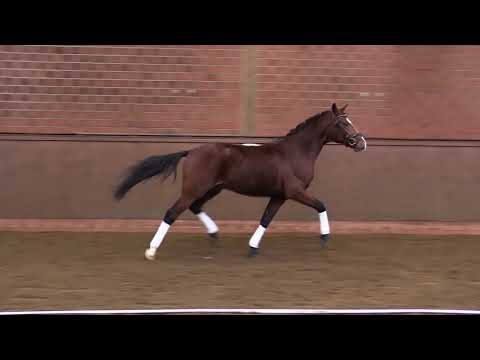 DUPLO, Wallach von Dreiklang - Batman