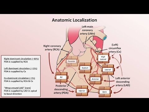 Intro to EKG Interpretation - Myocardial Infarctions (Part 1 of 2)
