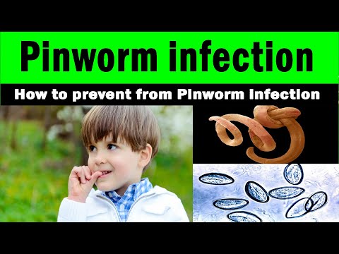 pinworms férgek