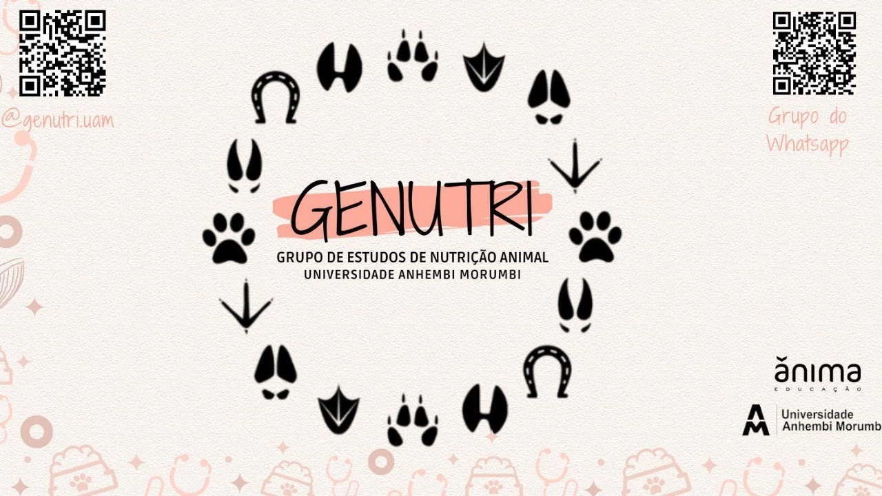 Distúrbios nutricionais causados pela má nutrição de Equinos