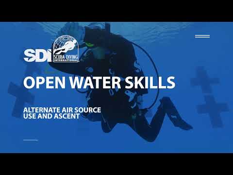 How To Do Alternate-Air Ascents - SDI Open Water Skills