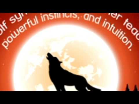 An Insight Into What the Wolf Spirit Animal Symbolize