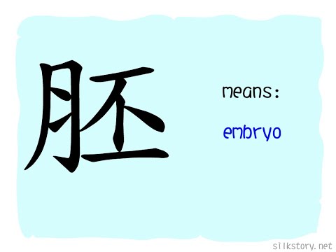 SilkStory - The Story of Chinese Character