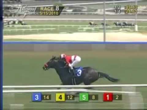 Longshot Acclamation Record Setting Murray Winner