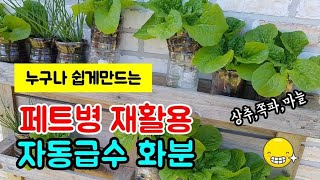 베란다 미니텃밭 ,자동급수 페트병화분, 재활용 페트병 화분에 유기농 상추 잘 크고있어요^^(self  wat…