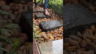 Little things makes lots of difference alle ? How’s it #gardening #landscape #garden